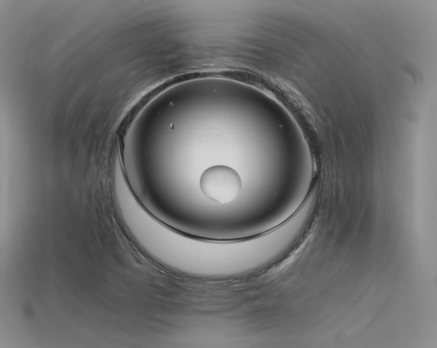 X0000115741457200911121528