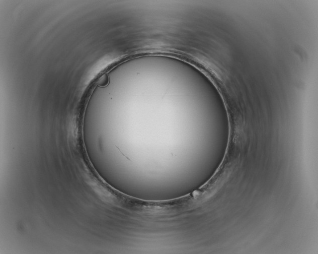 X0000115741458200911121528