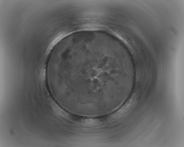 X0000115741459200911121528