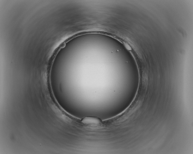 X0000115741460200911121528