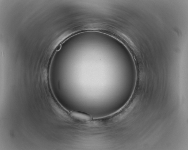 X0000115741465200911121527