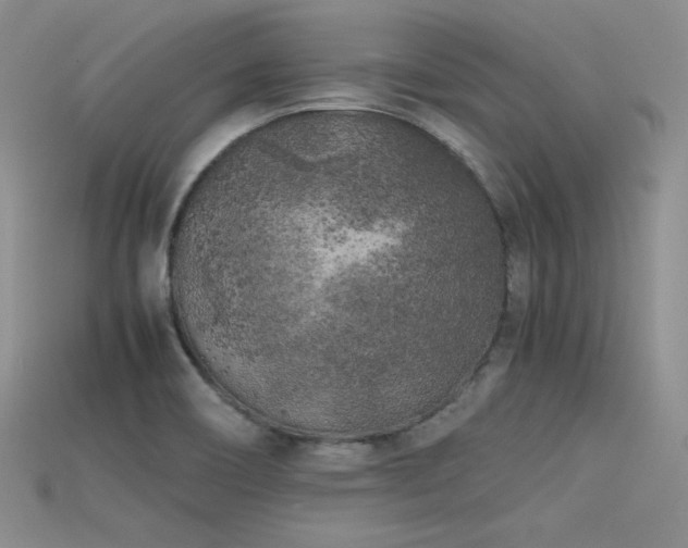 X0000115741466200911121527