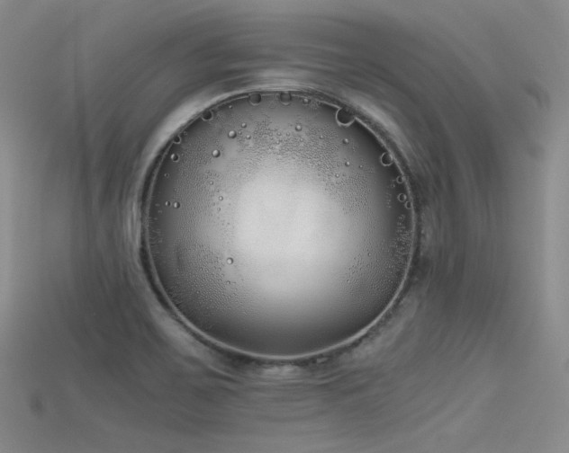 X0000115741467200911121527