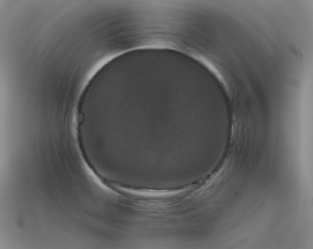 X0000115741468200911121527