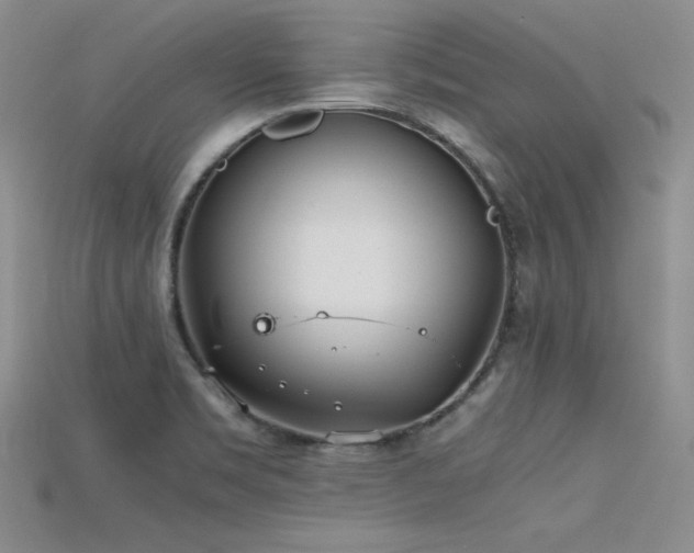 X0000115741469200911121527