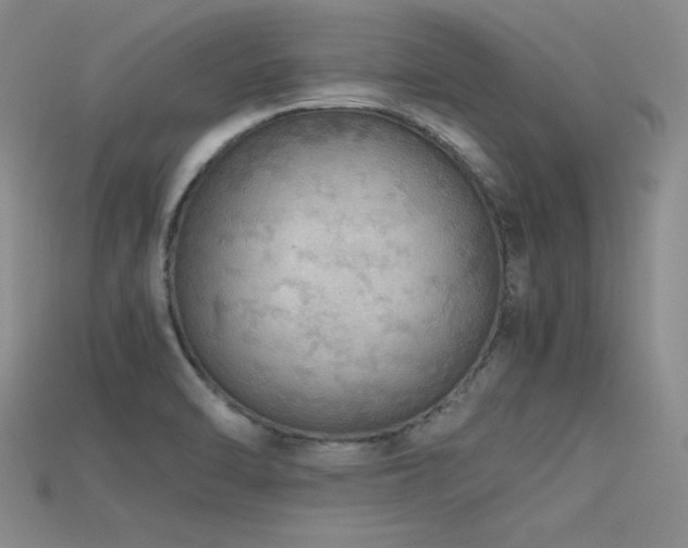 X0000115741470200911121527