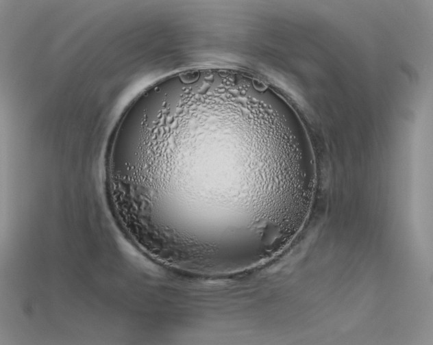 X0000115741471200911121527