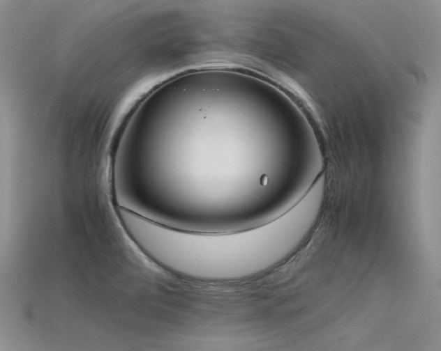 X0000115741472200911121527