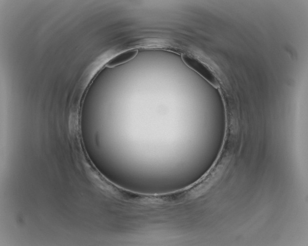 X0000115741473200911121527