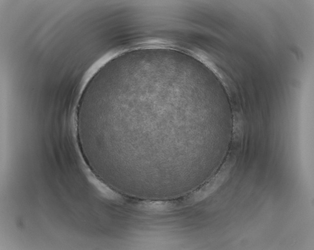 X0000115741474200911121527