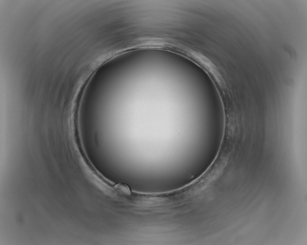 X0000115741475200911121527