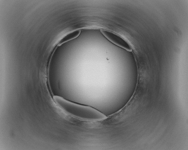 X0000115741476200911121527
