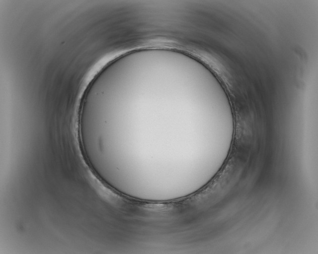 X0000115741478200911121527