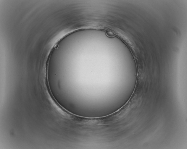 X0000115741479200911121527