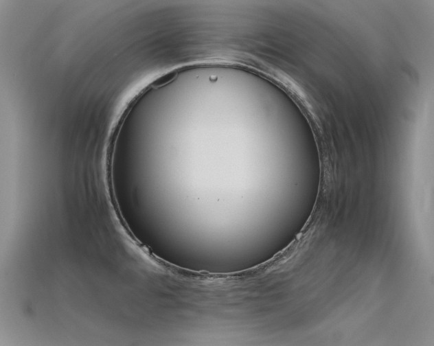 X0000115741480200911121527