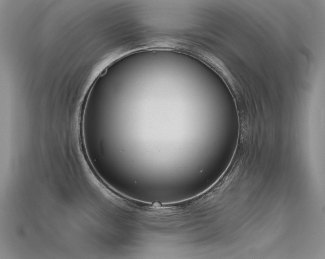 X0000115741483200911121527
