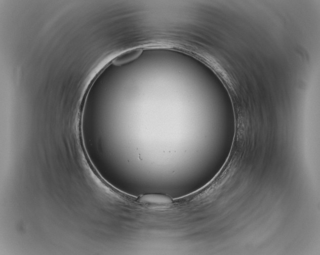 X0000115741484200911121527