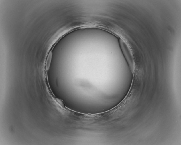 X0000115741485200911121527