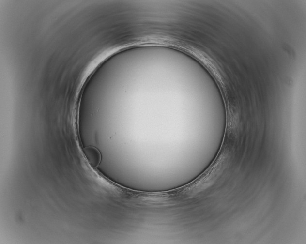 X0000115741486200911121527