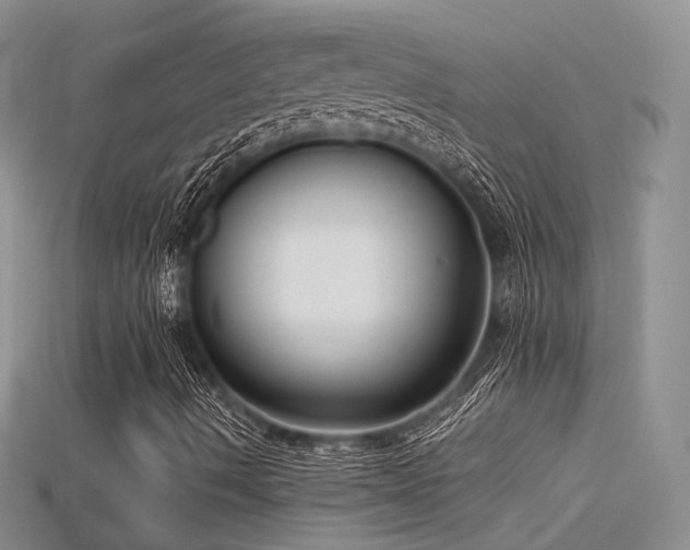 X0000115741490200911121527