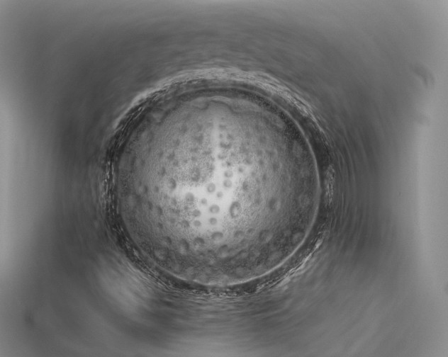 X0000115741494200911121527