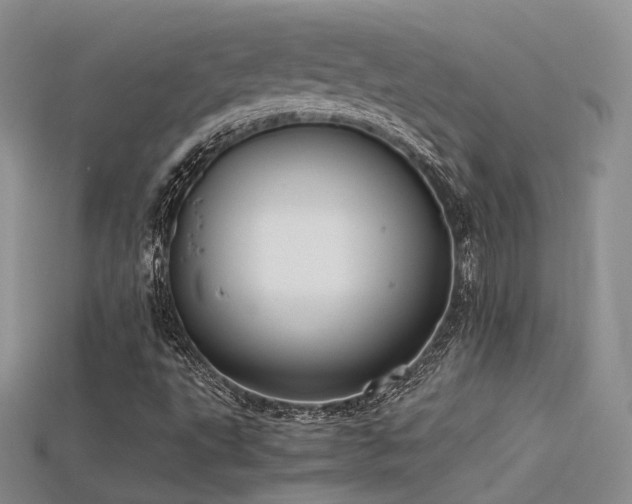 X0000115741495200911121527