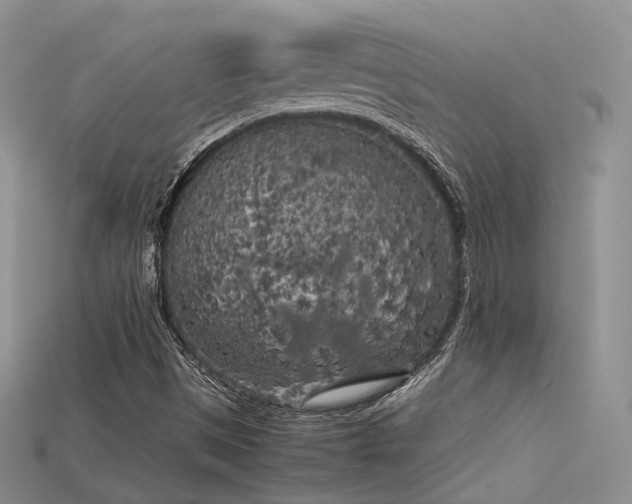 X0000115741497200911121527