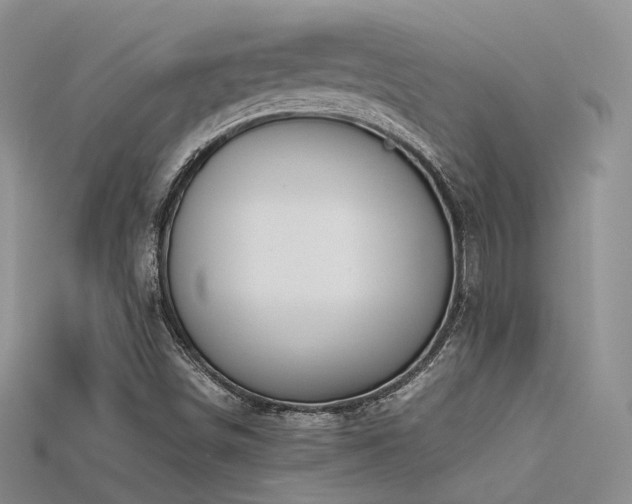 X0000115741498200911121527