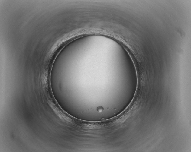 X0000115741499200911121527