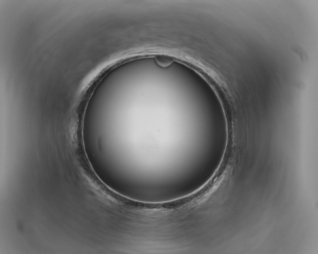 X0000115741502200911121527