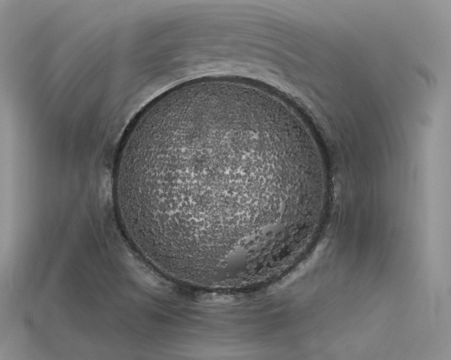 X0000115741505200911121527