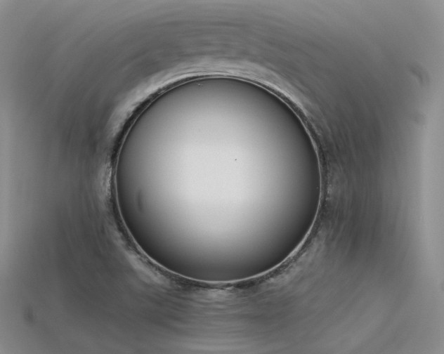 X0000115741507200911121527
