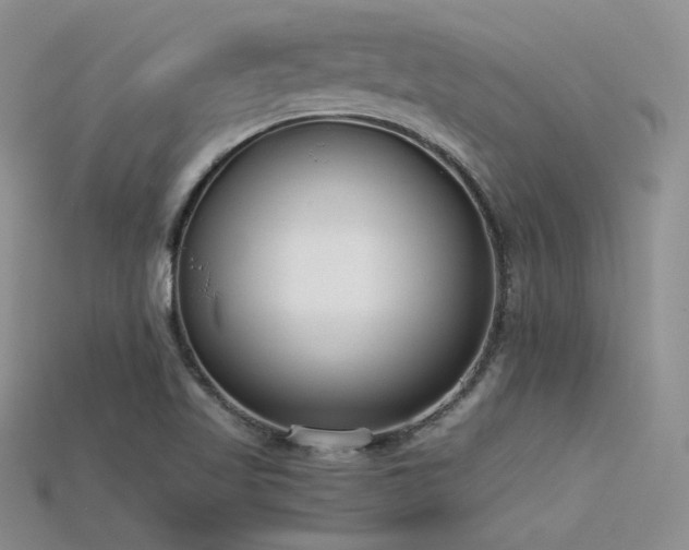 X0000115741509200911121527