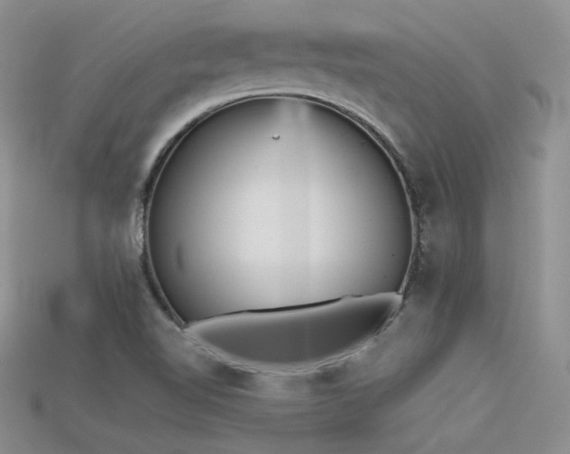 X0000115741510200911121527