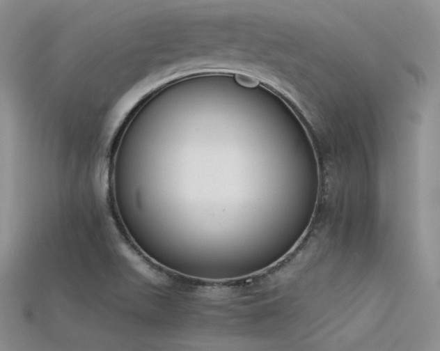 X0000115741511200911121527