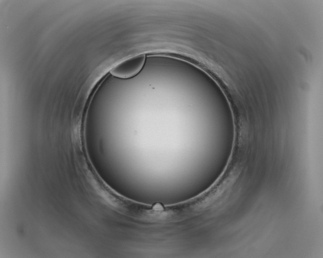 X0000115741513200911121527
