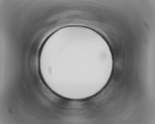 X0000115741514200911121527