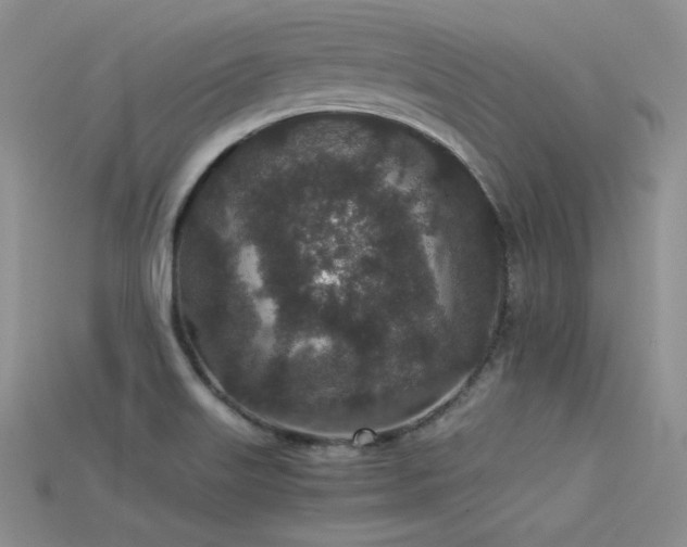 X0000115741515200911121527