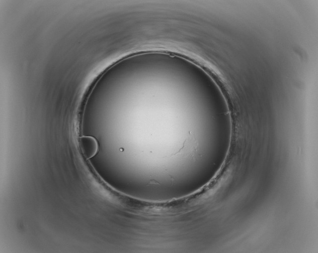 X0000115741517200911121527