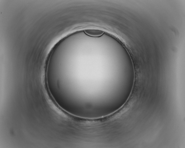 X0000115741518200911121527