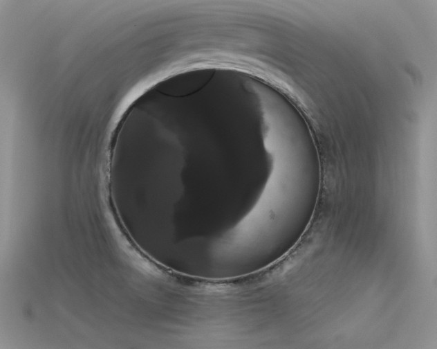 X0000115741522200911121527