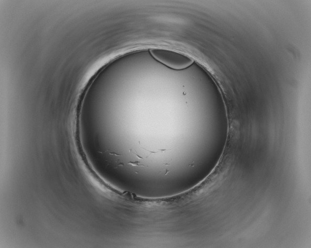 X0000115741523200911121527