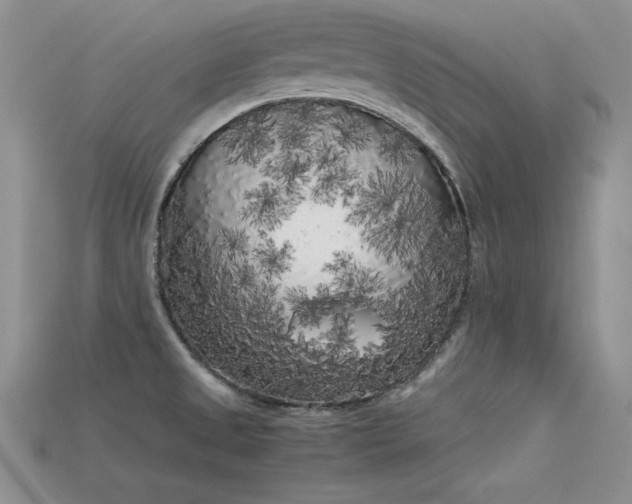 X0000115741525200911121527