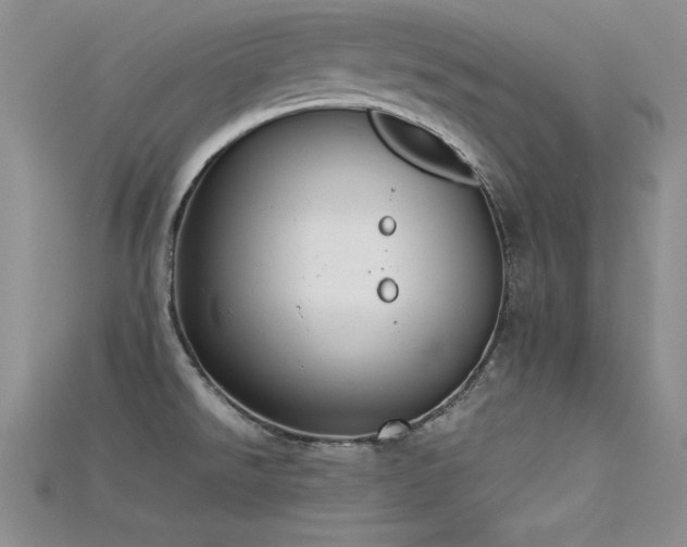 X0000115741526200911121527