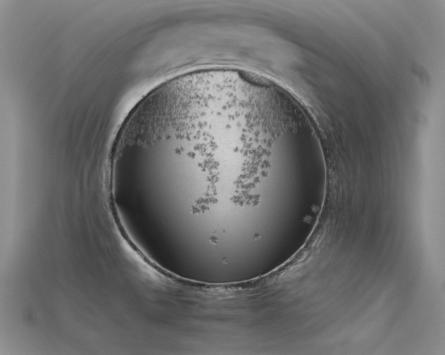 X0000115741527200911121527