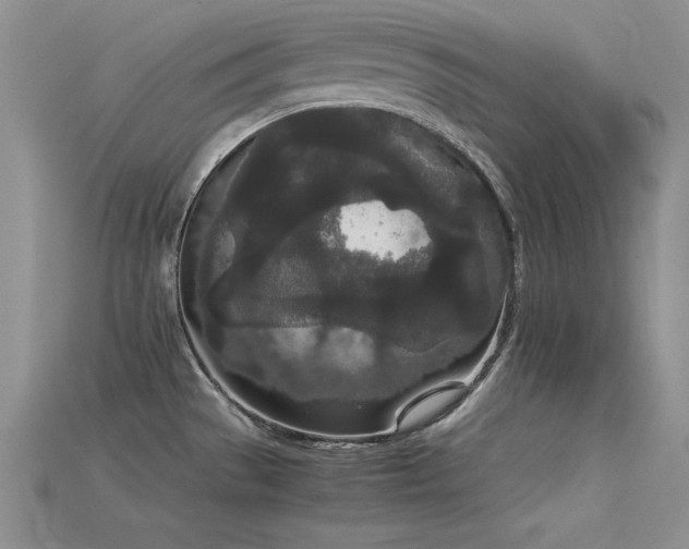 X0000115741529200911121527