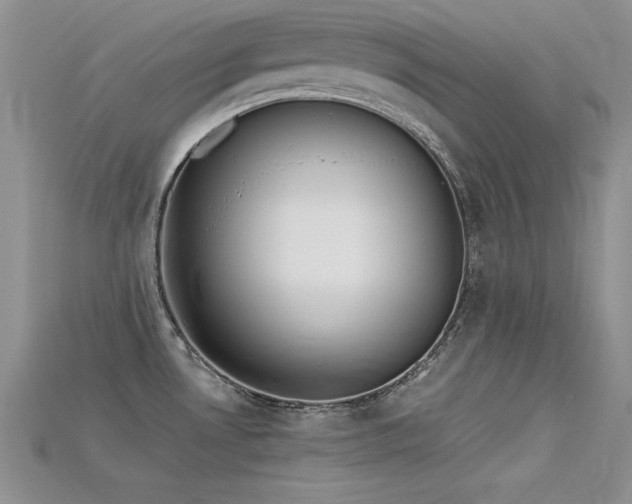 X0000115741530200911121527