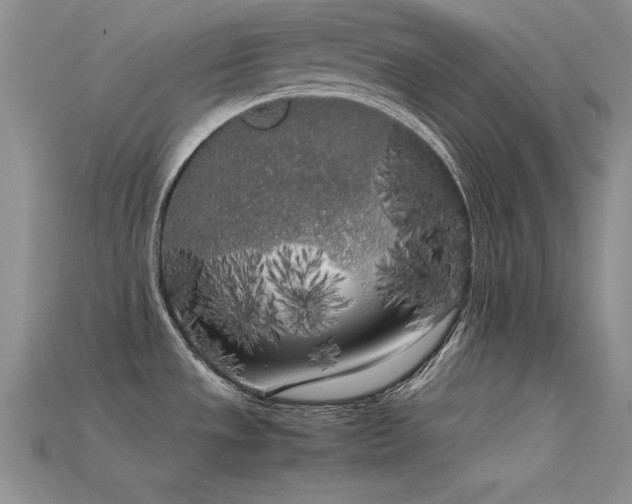 X0000115741533200911121527