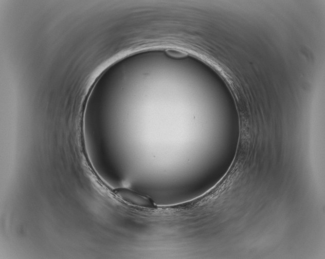 X0000115741534200911121527