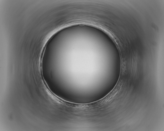 X0000115741535200911121527